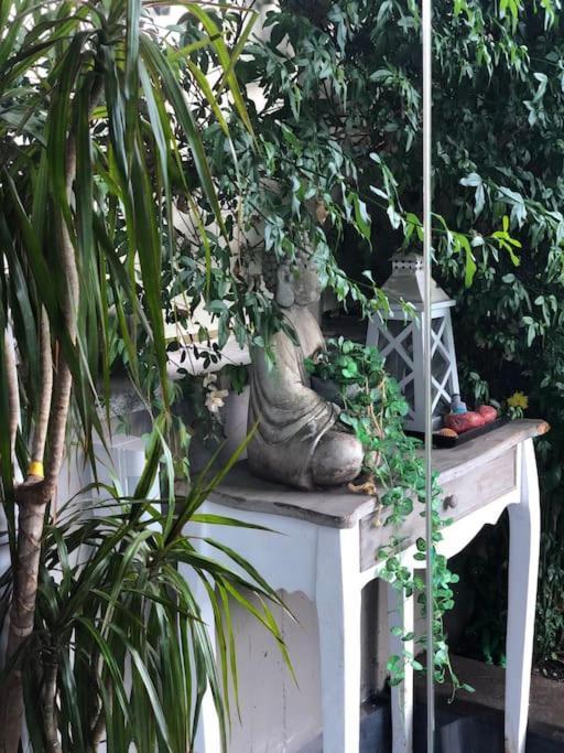 Favoloso Appartamento Roma Con Giardino Exteriör bild